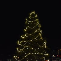 <p>Bedford Village&#x27;s Christmas tree, pictured just after the annual lighting.</p>
