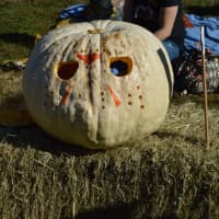 <p>One of the unique pumpkins at  the Great Pumpkin Festival at Boothe Memorial Park.</p>
