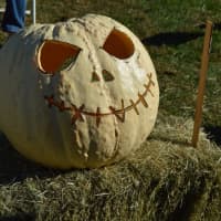 <p>A pumpkin that&#x27;s not orange at  the Great Pumpkin Festival at Boothe Memorial Park.</p>