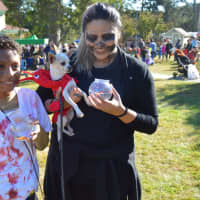 <p>Even animals get in on the fun at the annual Great Pumpkin Festival on the grounds of Boothe Memorial Park &amp; Museum in Stratford.</p>