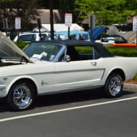 <p>A classic Mustang</p>