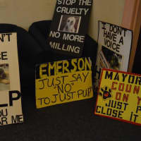 <p>Protest signs outside the council chambers.</p>