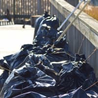 <p>Several garbage bags full of trash were ready to be hauled to the dumpster just an hour and half into the cleanup at Czescik Park Saturday.</p>
