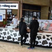 <p>Rolling Cow at the Garden State Plaza.</p>
