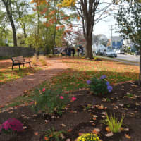 <p>The new pocket park at the corner of Oldfield and Reef roads officially opened Monday.</p>