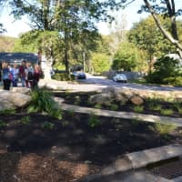 <p>The new pocket park at Rockland Road and Wilson Street features indigenous plants and natural seating.</p>