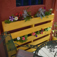 <p>LaMattina turned a shipping pallet into a flowerbed.</p>