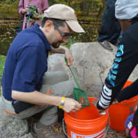 <p>Beardsley Zoo educator Gian Morresi, left, helps students release small brook trout into the Pequonnock River at Beardsley Park Thursday</p>