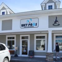 <p>Wet Paws Dog Grooming of Trumbull</p>