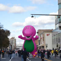 <p>Barney lumbers down the route in the Stamford Downtown Parade Spectacular.</p>