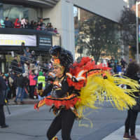 <p>The Stamford Downtown Parade Spectacular welcomed members of Samba New York!</p>