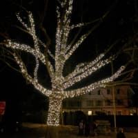 <p>The trees are officially lit at Sunday&#x27;s Light up Rowayton event.</p>