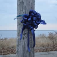 <p>Large navy blue bows were tied to a utility pole and a closed gate near where police found an unresponsive man in a car Monday morning.</p>