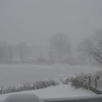 <p>It&#x27;s a snowy day in the neighborhood in Bridgeport.</p>