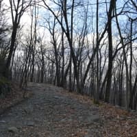 <p>Hikers will take to the trails in Ringwood State Park on New Year&#x27;s Day.</p>