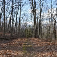 <p>A new app will help hikers navigate New Jersey state park trails, like this one in Ringwood.</p>