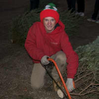 <p>An employee at the Jones Family Farms in Shelton takes a little off the end of a tree last year.</p>