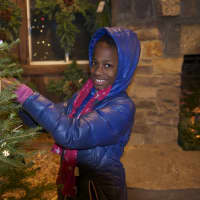 <p>A girl checks out the tree ornaments at Jones Family Farms in Shelton last year.</p>