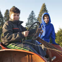 <p>Two boys sit on a old tractor at Wilkens Farm.</p>