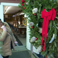 <p>Wreath shopping at Wilkens Farm.</p>