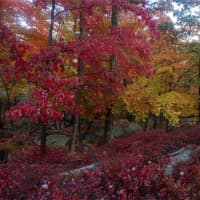 <p>Colors around Bear Mountain State Park were in full bloom over the weekend.</p>