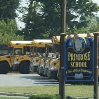 <p>Busses lined up at the Primrose School in Somers, as schools opened this week.</p>