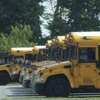 <p>Busses were back in action this week.</p>