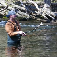 <p>This fisherman wades right into the water as the trout fishing season opens this past weekend in Connecticut.</p>