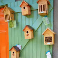 <p>A variety of houses for birds, bees, ladybugs, butterflies, and more, at OLIVE 54.</p>