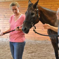 <p>Parents, who endure their own struggles when caring for sick children, enjoy their own programming at Pony Power Therapies in Mahwah.</p>