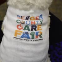 <p>Rayna sporting her Bergen County Care Fair T-shirt.</p>