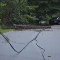<p>A downed tree and wires during a recent storm.</p>