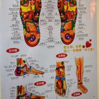 <p>A reflexology chart on the wall at Xing Yao Foot Spa in Paramus shows which parts of the foot are related to which organs in the body.</p>
