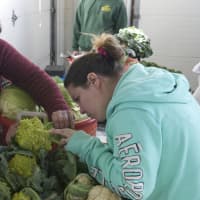 <p>A customer checks out the vegetables from Stone Gardens Farm.</p>