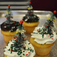 <p>Christmas tree-topped cupcakes are one of many holiday treats at Reinhold&#x27;s.</p>