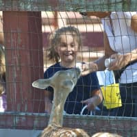 <p>A woman feeds a doe as a young girl watches at Silverman&#x27;s Animal Farm.</p>