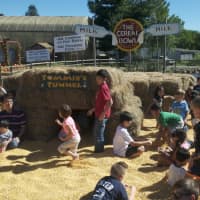 <p>Families have lots to do at Silverman&#x27;s Farm, with pumpkins - this &quot;Cereal Bowl&quot; for kids - apple picking, and Silverman&#x27;s Animal Farm.</p>