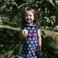 <p>A girl poses with an apple she just picked at Silverman&#x27;s Farm.</p>