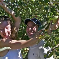 <p>A young couple apple picking at Silverman&#x27;s Farm. </p>