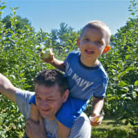 <p>Apple picking fun at Silverman&#x27;s Farm.</p>