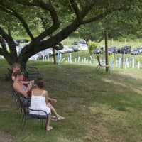 <p>Visitors can enjoy food and drink as they take in the scenery at Torne Vineyards.</p>