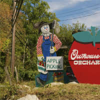 <p>The family-owned Outhouse Orchards in North Salem ins a Westchester institution.</p>