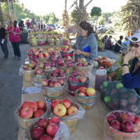 <p>Visitors pack Outhouse Orchards on fall weekends for apples, pumpkins, baked goods, and more.</p>