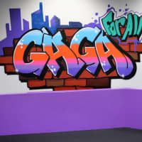 <p>A wall behind the purple octagonal gaga playing pit at The Gagasphere in Waldwick.</p>