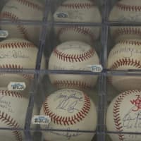 <p>Some of the many autographed baseballs available at Village Baseball Cards.</p>