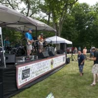 <p>Area Dead-Heads were in their glory Saturday, as large crowds flocked to the Torne Valley Vineyard&#x27;s We Can Share The Wine Music Festival in Hillburn.</p>