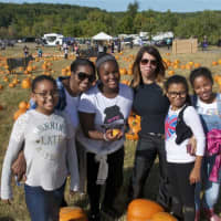 <p>Picking pumpkins at Outhouse Orchards.</p>