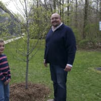 <p>Burr Elementary second-grader Evander Prapopulos and Tree Warden Jeff Minder with the Hornbeam Ironwood tree they planted.</p>