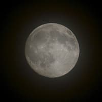 <p>The Full Buck Moon, or Thunder Moon (photographed last night) will be in its full phase over area skies tonight.</p>