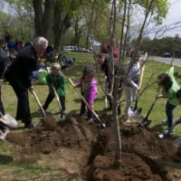 <p>Norwalk Mayor Harry Rilling joins Arbor Day poster winners in planting a Kousa Dogwood tree at the school.</p>